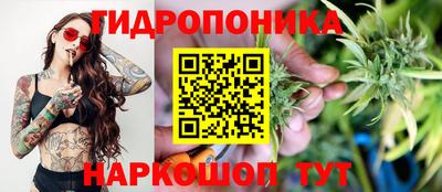 индика Татарск