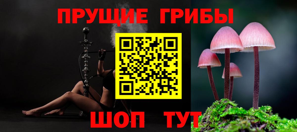 Нововоронеж  Галлюциногенные грибы мицелий  Вход с VPN  Псилоцибиновые грибы Cubensis 